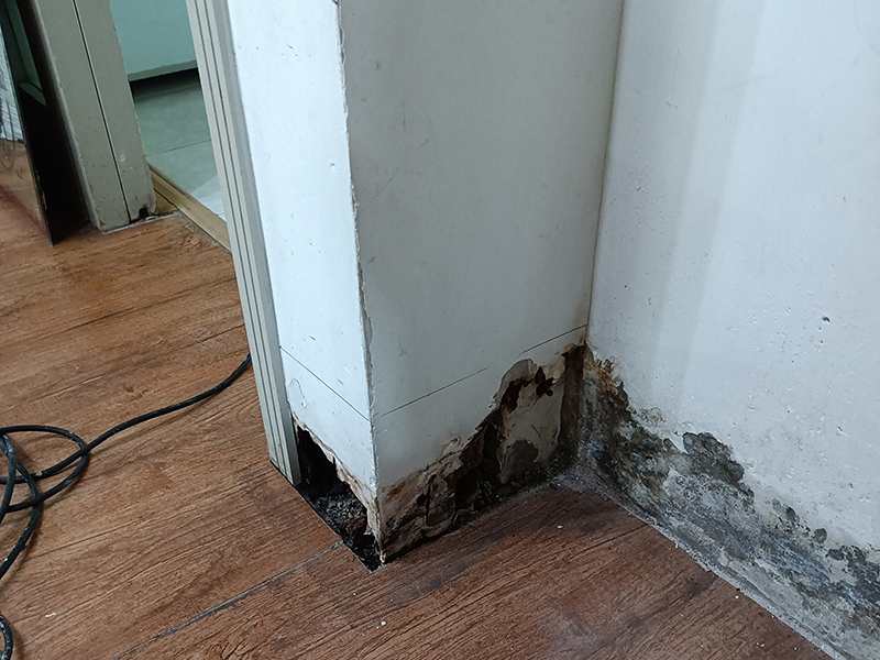 墻壁裝修用什么材料比較好？這些材料你知道嗎(圖1)